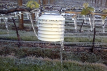 Temperature Sensor after heavy frost